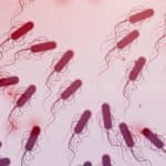 Discovery of Tree Of Life By “Illuminating” The “Dark Matter” Microbes