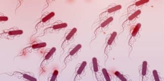 Discovery of Tree Of Life By “Illuminating” The “Dark Matter” Microbes