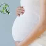 “Master Gene” For Fertility Discovered In A CRISPR Breakthrough