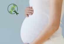 “Master Gene” For Fertility Discovered In A CRISPR Breakthrough “Master Gene” For Fertility Discovered In A CRISPR Breakthrough