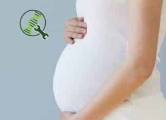 “Master Gene” For Fertility Discovered In A CRISPR Breakthrough “Master Gene” For Fertility Discovered In A CRISPR Breakthrough