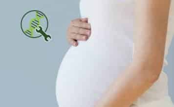 “Master Gene” For Fertility Discovered In A CRISPR Breakthrough