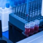 This Startup Is Revolutionising Cell Research Through Its Transformative Hydrogel Technology This Startup Is Revolutionising Cell Research Through Its Transformative Hydrogel Technology