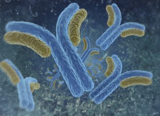 GE Healthcare Introduces New MAb Purification Resin