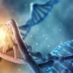 MSc Life Sciences & Microbiology JRF Post @ AAU