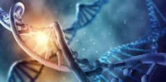 MSc Life Sciences & Microbiology JRF Post @ AAU