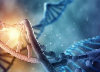 MSc Life Sciences & Microbiology JRF Post @ AAU