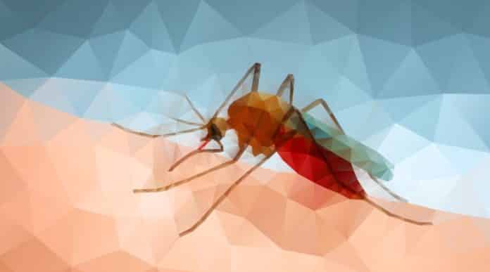 New Hope For Combating Malaria - Artemisinin Produced Using Moss