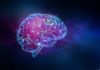 Man In A Vegetative State For 15 Years Regains “Consciousness”, An Electric Zap Is All It Took Man In A Vegetative State For 15 Years Regains “Consciousness”