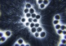 New Study Unlocks Pathway To Thwart Flesh-Eating Bacteria New Study Unlocks Pathway To Thwart Flesh-Eating Bacteria