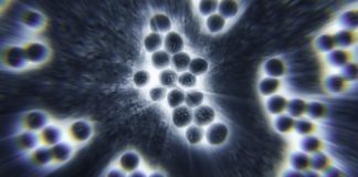 New Study Unlocks Pathway To Thwart Flesh-Eating Bacteria