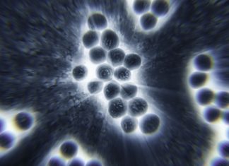 New Study Unlocks Pathway To Thwart Flesh-Eating Bacteria