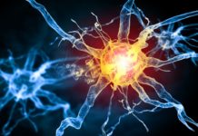 Gene Therapy Found To Prevent MS And Also Reverse Resulting Paralysis In Mice