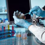 CRISPR-Gold Found To Fix Duchenne Muscular Dystrophy Mutation In Mouse Models