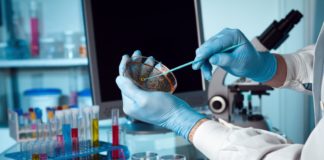 CRISPR-Gold Found To Fix Duchenne Muscular Dystrophy Mutation In Mouse Models