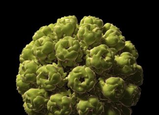 Study Demonstrates Polioviruses’ Ability To Treat Brain Cancer