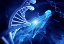 DNA Nanorobot That Picks, Sorts And Drops Off Molecular Cargo DNA Nanorobot That Picks, Sorts And Drops Off Molecular Cargo