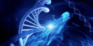 DNA Nanorobot That Picks, Sorts And Drops Off Molecular Cargo