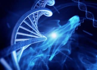 DNA Nanorobot That Picks, Sorts And Drops Off Molecular Cargo