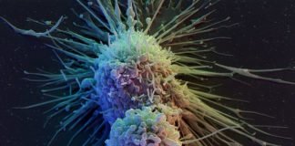 Turning on the Gene “Circuit” Switch to Combat Cancer