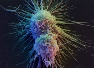 Turning on the Gene “Circuit” Switch to Combat Cancer