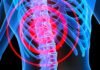 Scientists Uncover Alternate Neural Network That Allows For “Breathing” After Spine Injury Alternate Neural Network That Allows For “Breathing” After Spine Injury