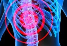 Scientists Uncover Alternate Neural Network That Allows For “Breathing” After Spine Injury Alternate Neural Network That Allows For “Breathing” After Spine Injury