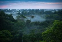 Efforts to Remedy Climate Change Could Be Just As Impactful As Ending Oil Use Efforts to Remedy Climate Change Could Be Just As Impactful As Ending Oil Use