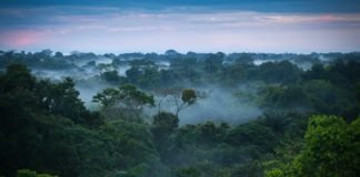 Efforts to Remedy Climate Change Could Be Just As Impactful As Ending Oil Use