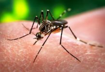 New Generation DNA-Based Zika Vaccine Found To Be Safe And Effective In First Human Trial DNA-Based Zika Vaccine Found To Be Safe In First Human Trail