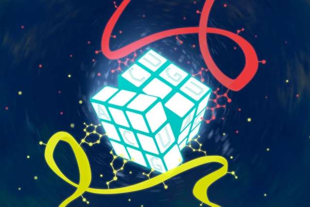 Scientists Design New Letters of the Genetic Code