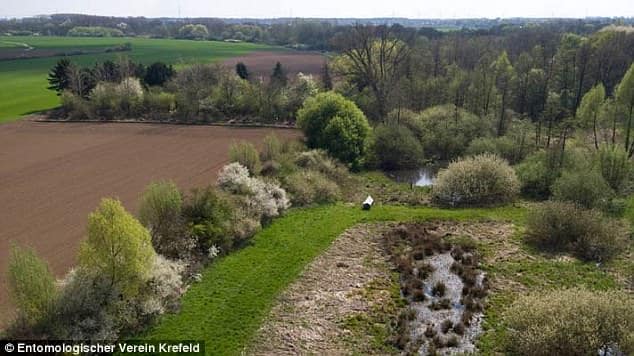 Scientists Warn of Impending “Ecological Armageddon”