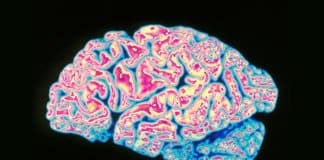 Key Parkinson’s Protein Structure Uncovered, New Drugs on the Horizon