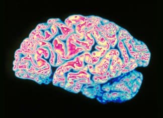Key Parkinson’s Protein Structure Uncovered, New Drugs on the Horizon