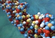 Evolved, More Powerful CRISPR Editing Systems Unveiled Evolved, More Powerful CRISPR Editing Systems Unveiled