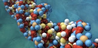 Evolved, More Powerful CRISPR Editing Systems Unveiled
