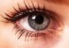 Gene Therapy May Facilitate The Reversal Of Blindness, Oxford Study Says Gene Therapy May Facilitate The Reversal Of Blindness, Oxford Study Says
