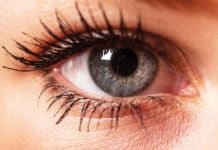 Gene Therapy May Facilitate The Reversal Of Blindness, Oxford Study Says Gene Therapy May Facilitate The Reversal Of Blindness, Oxford Study Says