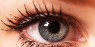 Gene Therapy May Facilitate The Reversal Of Blindness, Oxford Study Says