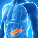 Scientists Study the Third Type of Diabetes, Warn about Repercussions of Misdiagnosis Scientists Study the Third Type of Diabetes, Warn about Repercussions of Misdiagnosis