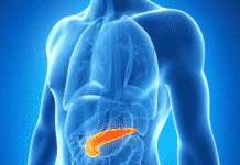 Scientists Study the Third Type of Diabetes, Warn about Repercussions of Misdiagnosis Scientists Study the Third Type of Diabetes, Warn about Repercussions of Misdiagnosis