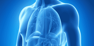 Scientists Study the Third Type of Diabetes, Warn about Repercussions of Misdiagnosis