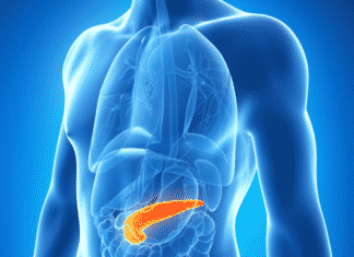 Scientists Study the Third Type of Diabetes, Warn about Repercussions of Misdiagnosis