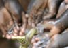 WHO Pledges To Slash Number Of Cholera Deaths By 90% By 2030