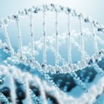 Study Illuminates Connection between EndosiRNAs and the Suppression of Transposon Activity Study on EndosiRNAs and the Suppression of Transposon Activity