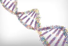 Scientists Have Now Built a Molecular Computer Using Polymers Making Data Storage 100 Times Smaller MSc Bioinformatics Project Position @ IISER Pune