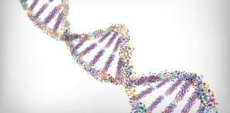 MSc Bioinformatics Project Position @ IISER Pune