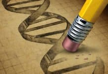 Researchers Mend Human Embryos Using “Chemical Surgery”, Remove Mutations Leading To Thalassemia Human Embryos to use “Chemical Surgery” to Remove Mutations