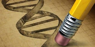 Human Embryos to use “Chemical Surgery” to Remove Mutations