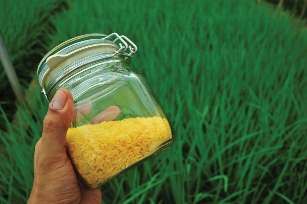 The Golden Rice Paradox: Monstrous or Misunderstood?